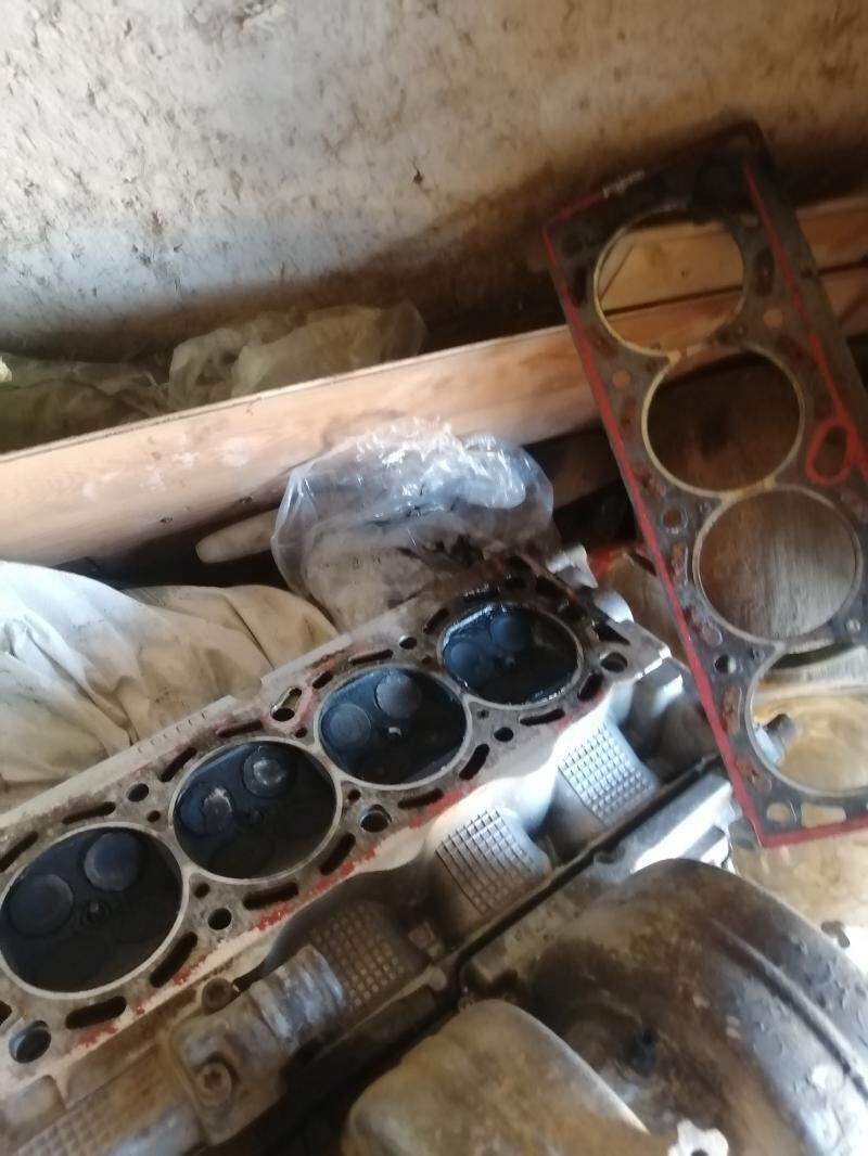 18 gaovka 300 TMT - Daşoguz - img 3