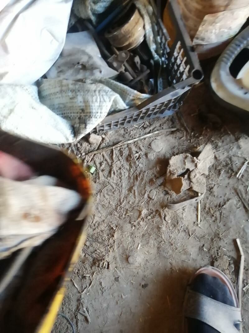 18 gaovka 300 TMT - Daşoguz - img 6