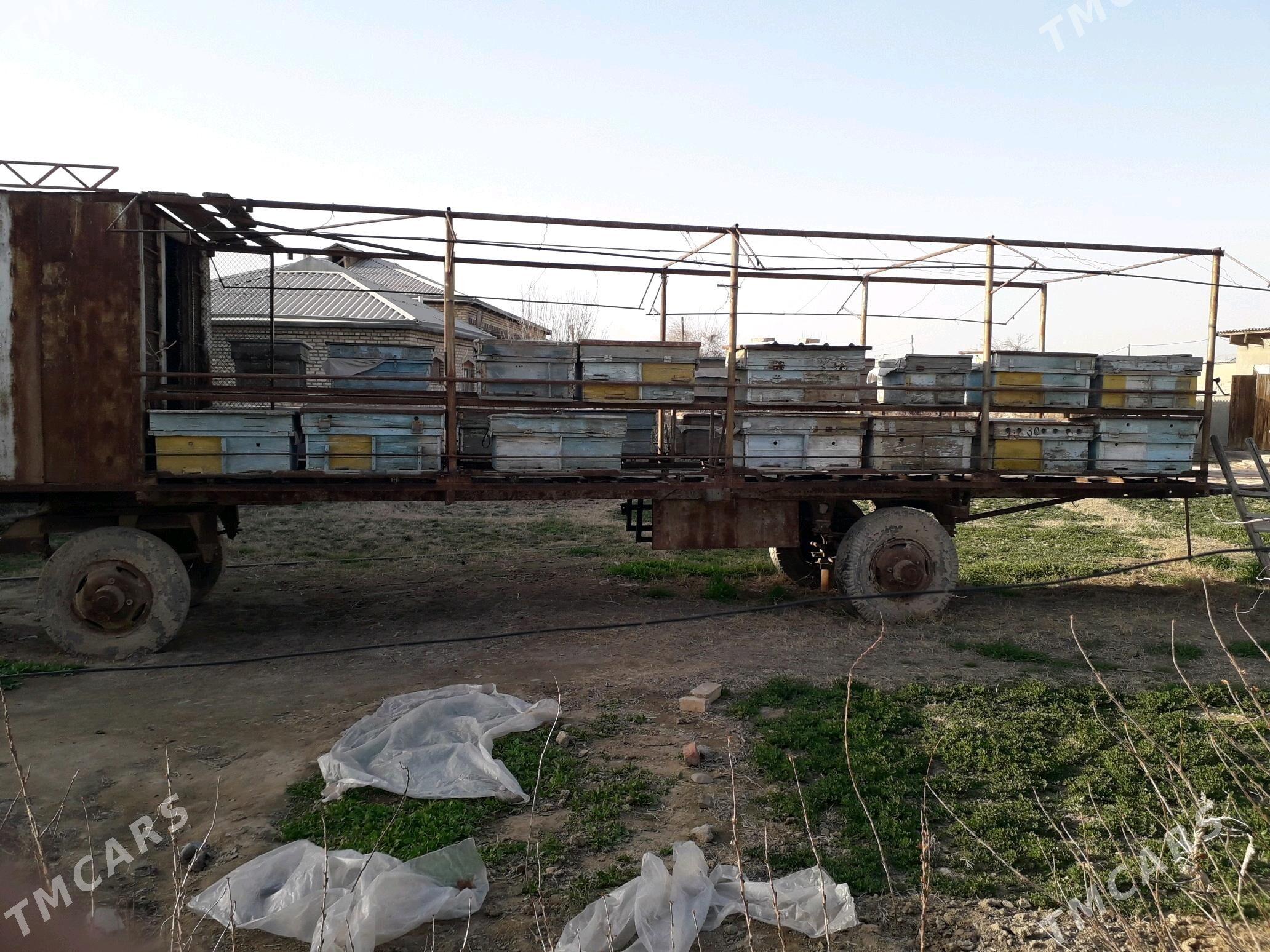 ары прицеп - Mary - img 2