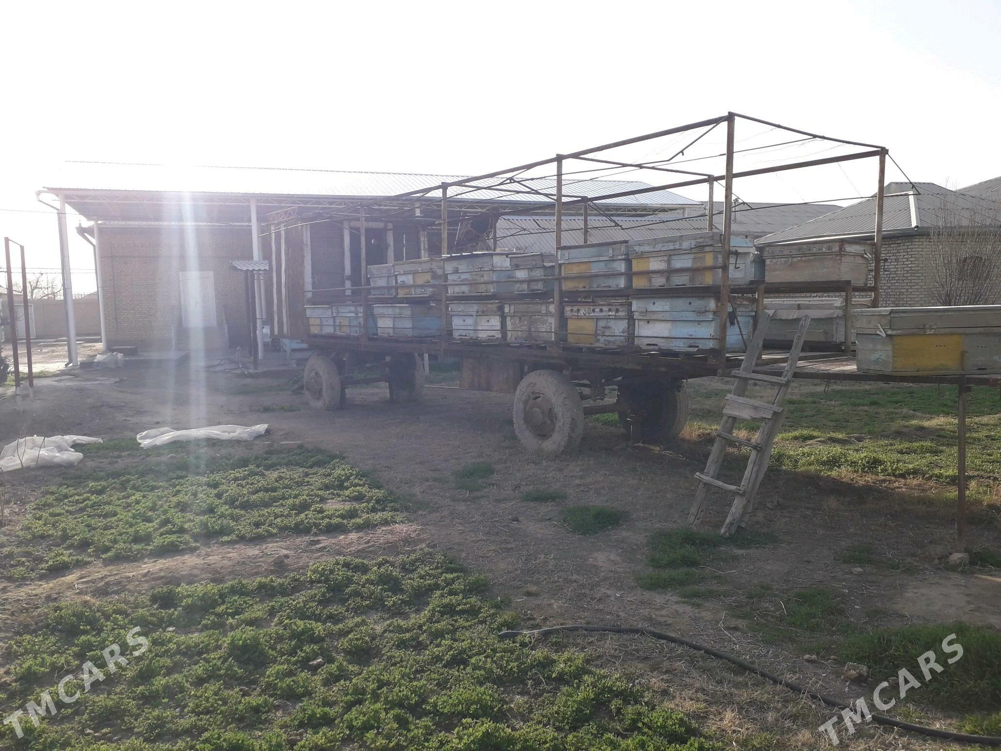 ары прицеп - Mary - img 3