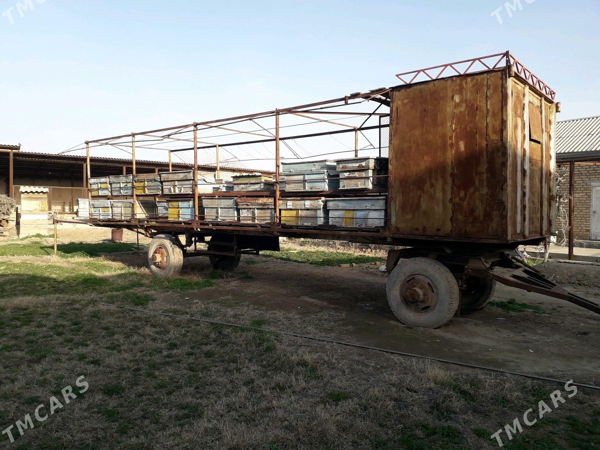 ары прицеп - Mary - img 1