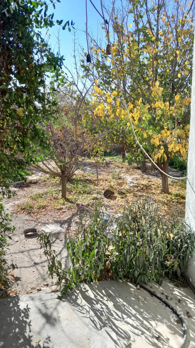 bagir mirewe 8sot 71500 sroçno - Ашхабад - img 1