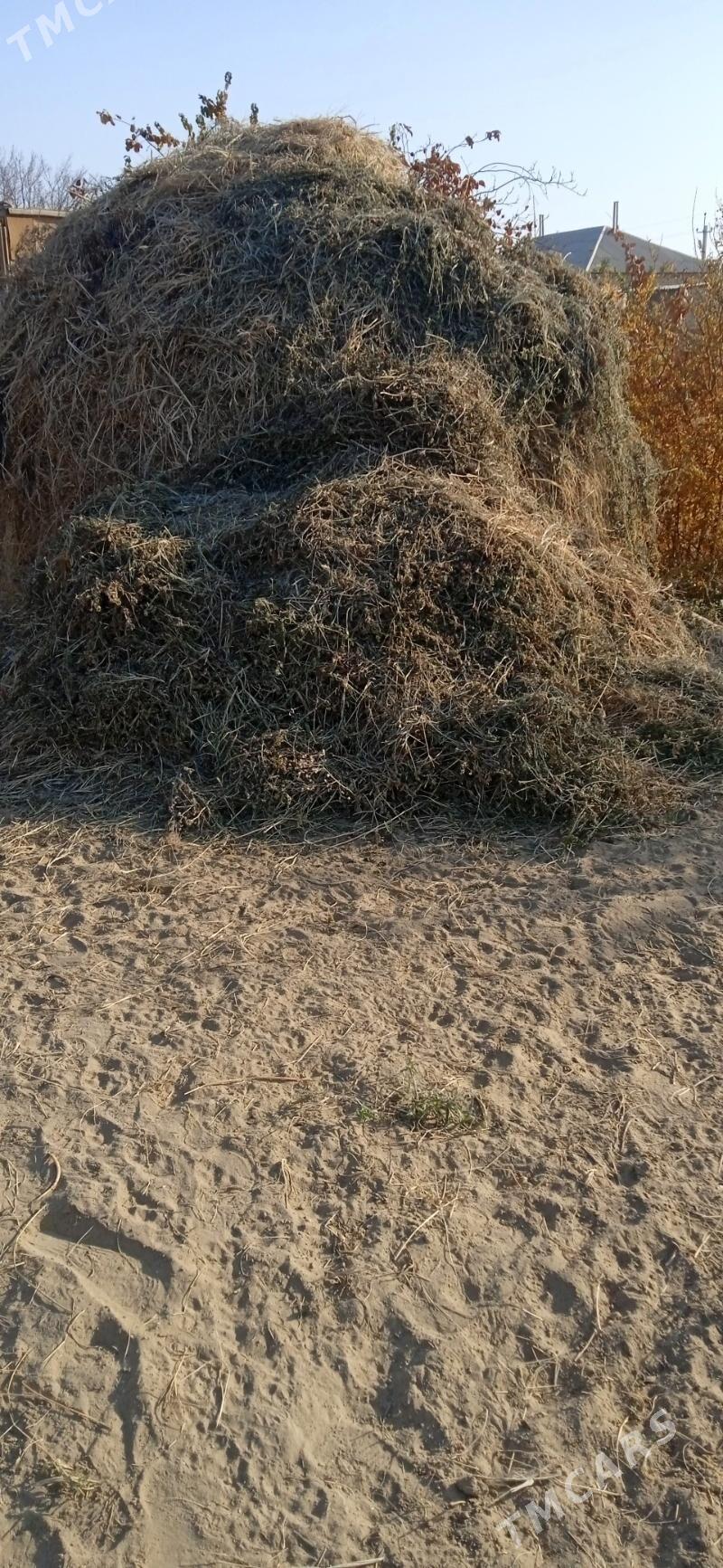 yurunja - Мары - img 2