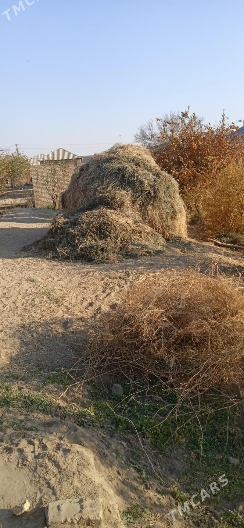 yurunja - Мары - img 3