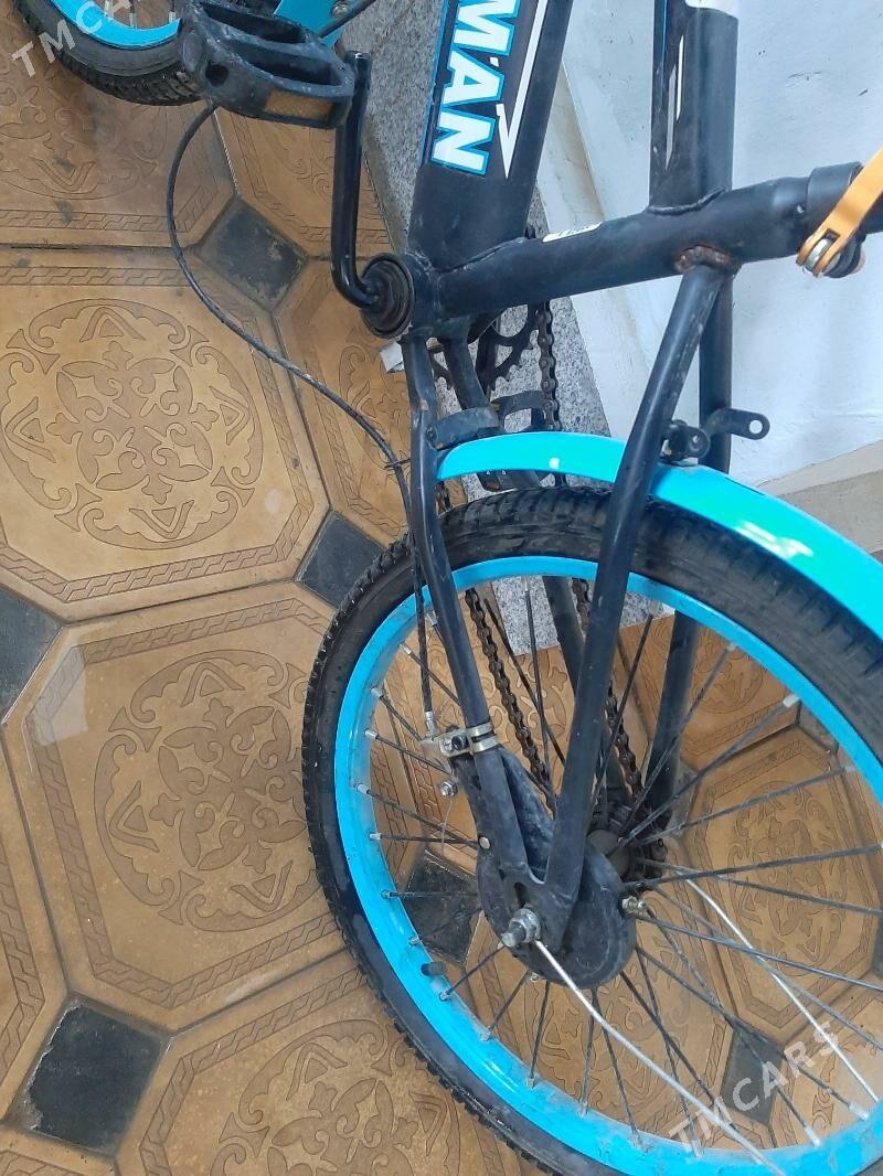 Tigir - Бедев - img 2