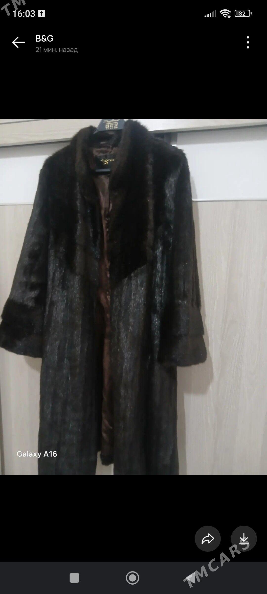 shuba - Мир 1 - img 3