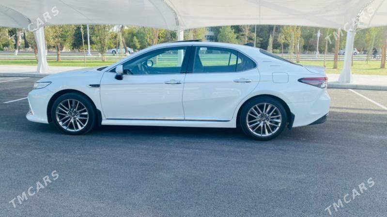 waditellyk Is gozleyan - Aşgabat - img 4