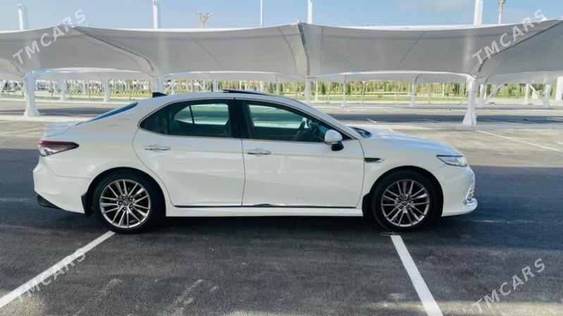 waditellyk Is gozleyan - Aşgabat - img 5