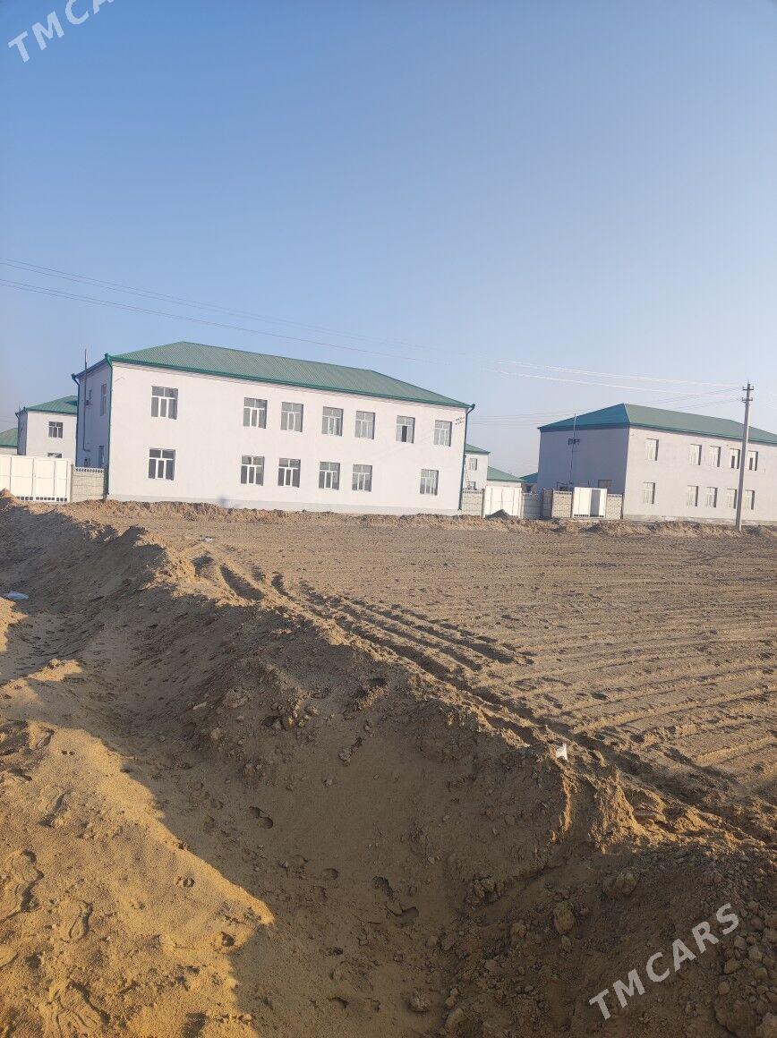 Şatlyk saherinde mellek - Şatlyk - img 2