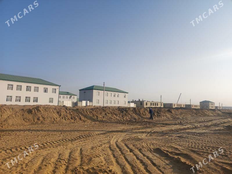 Şatlyk saherinde mellek - Şatlyk - img 5