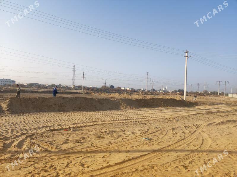 Şatlyk saherinde mellek - Şatlyk - img 4