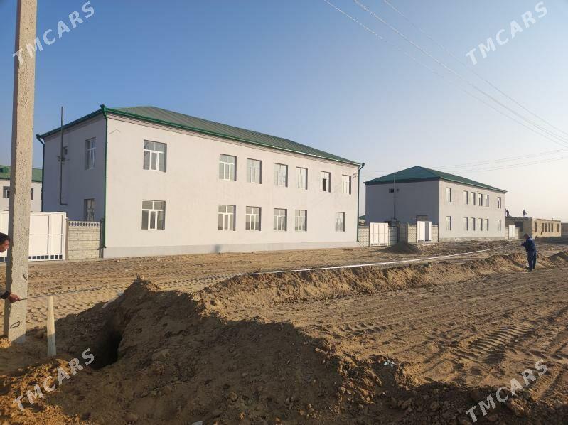 Şatlyk saherinde mellek - Şatlyk - img 3