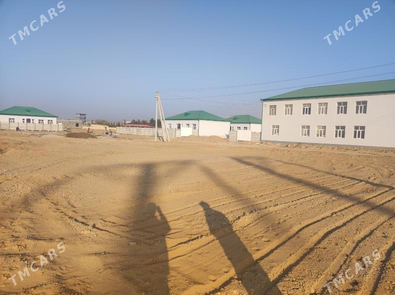 Şatlyk saherinde mellek - Şatlyk - img 6