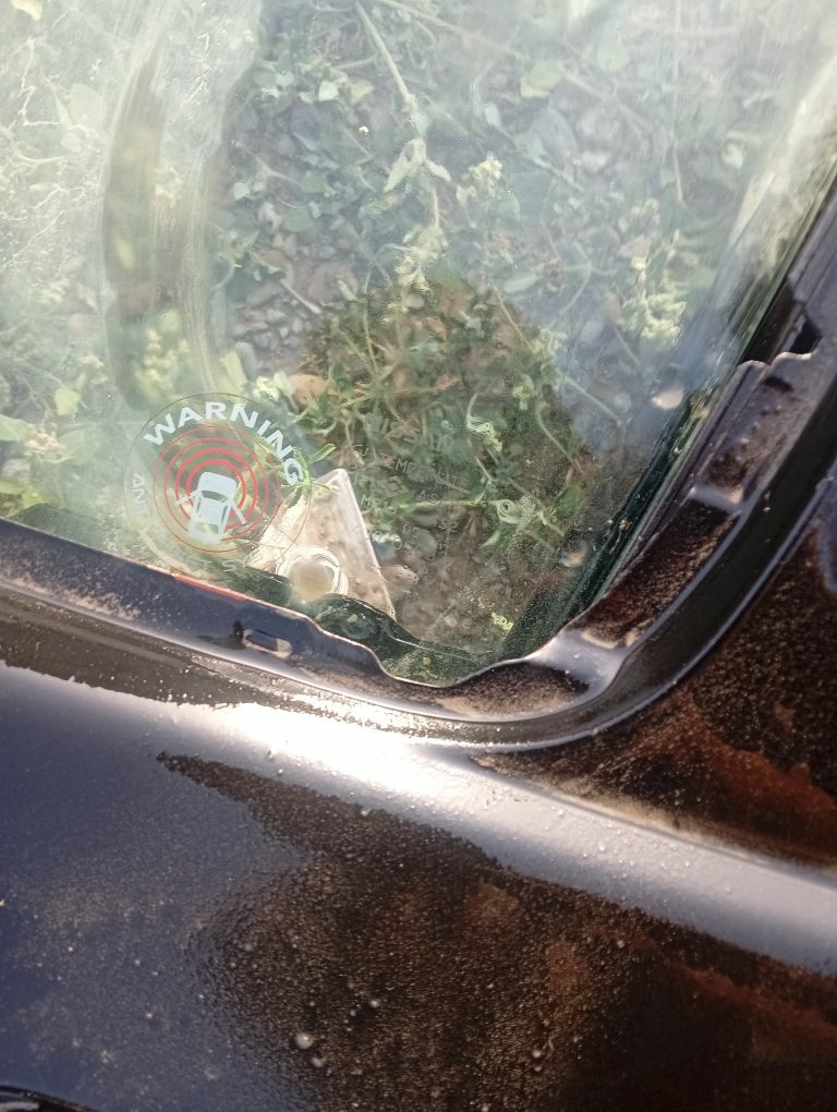 gapylar 100 TMT - Кака - img 5