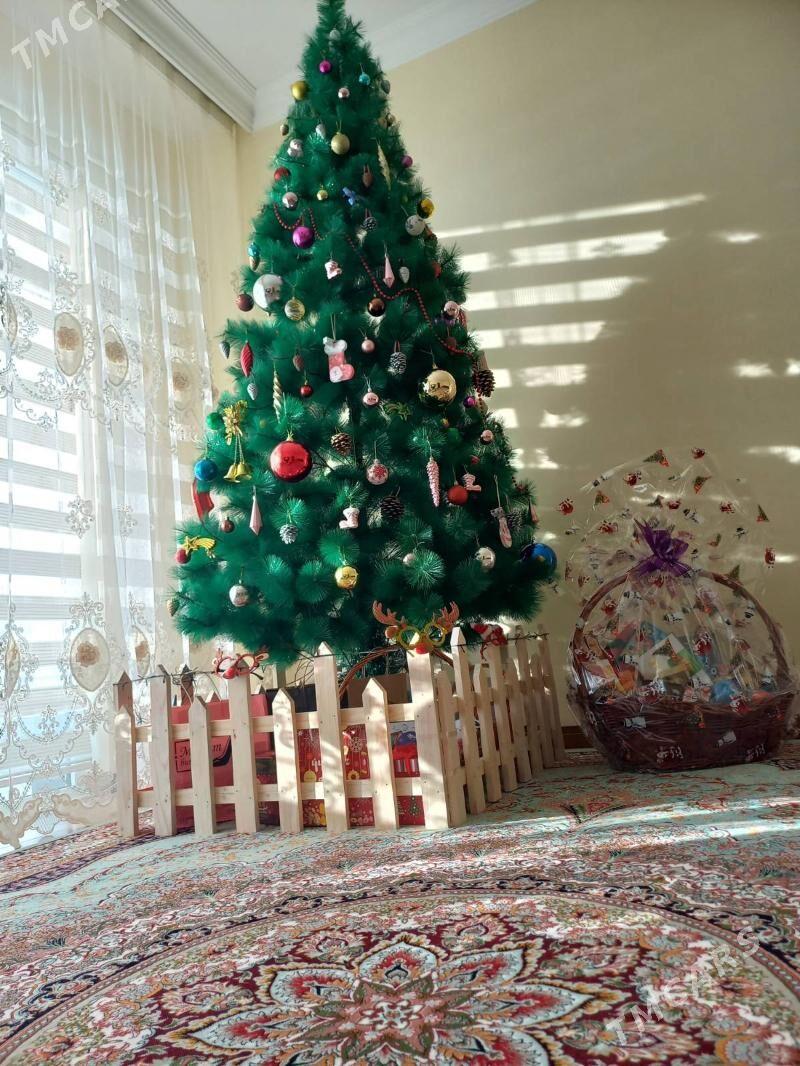 Yolka/arça - Туркменбаши - img 2