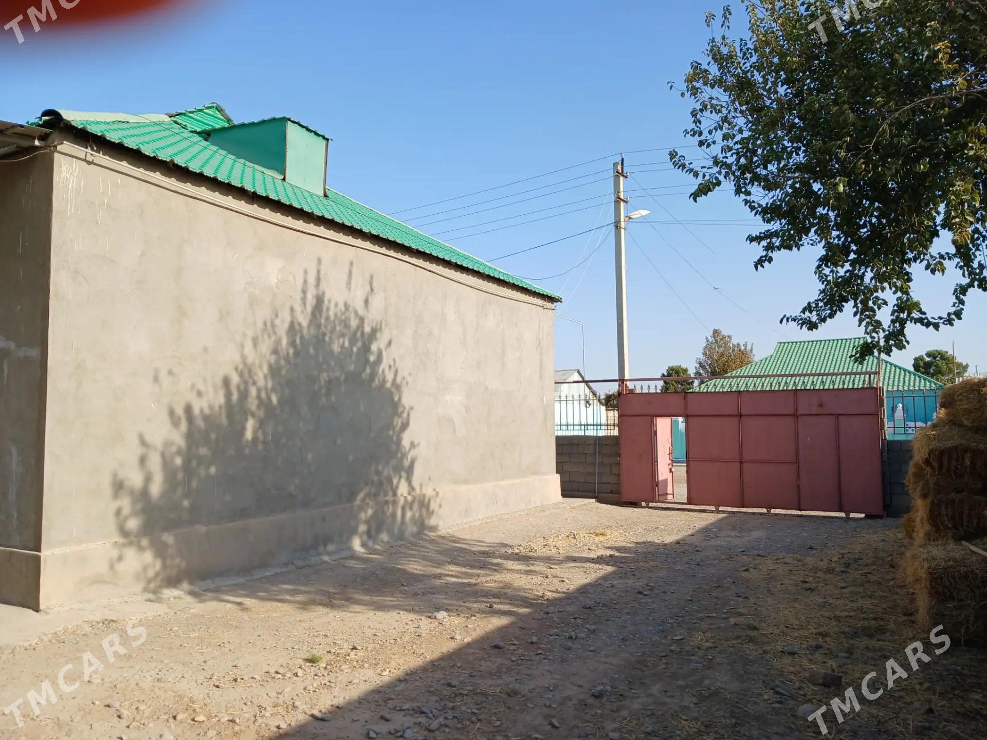 satlyk jaý - Ýaşlyk - img 4