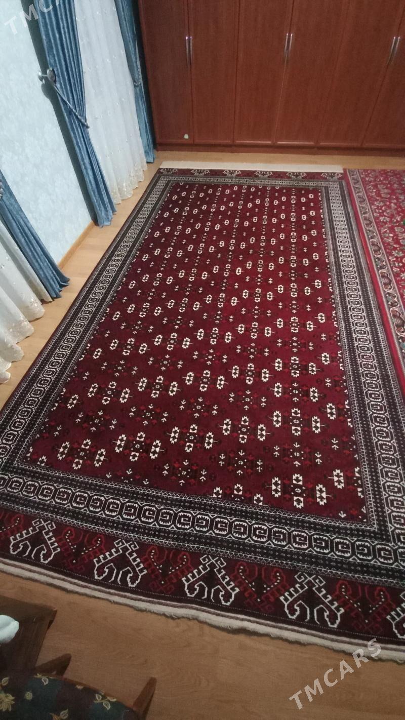 türkmen haly - Balkanabat - img 2