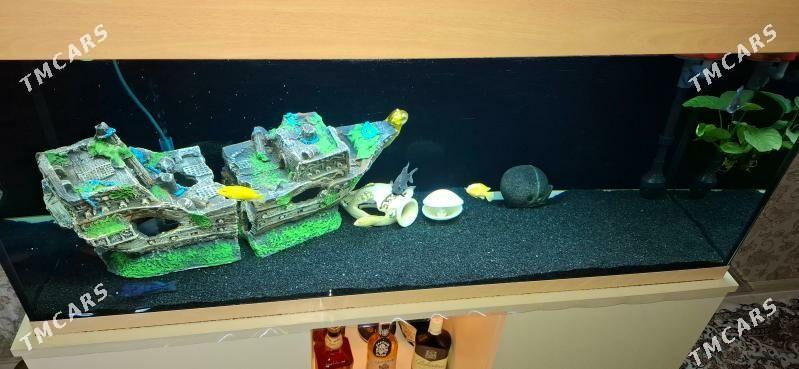 aquael - 11 мкр - img 2