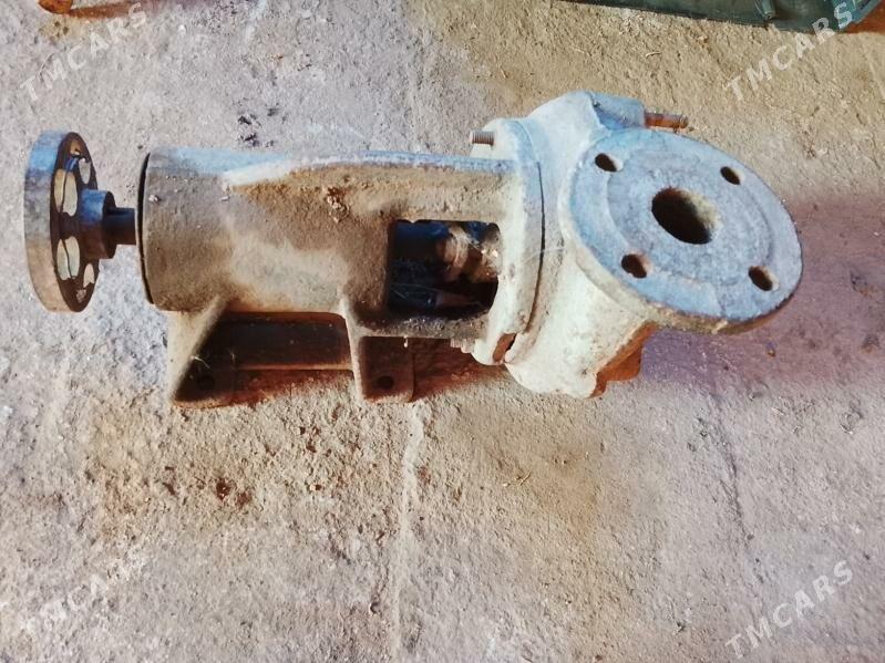 nsss - Гороглы (Тагта) - img 2