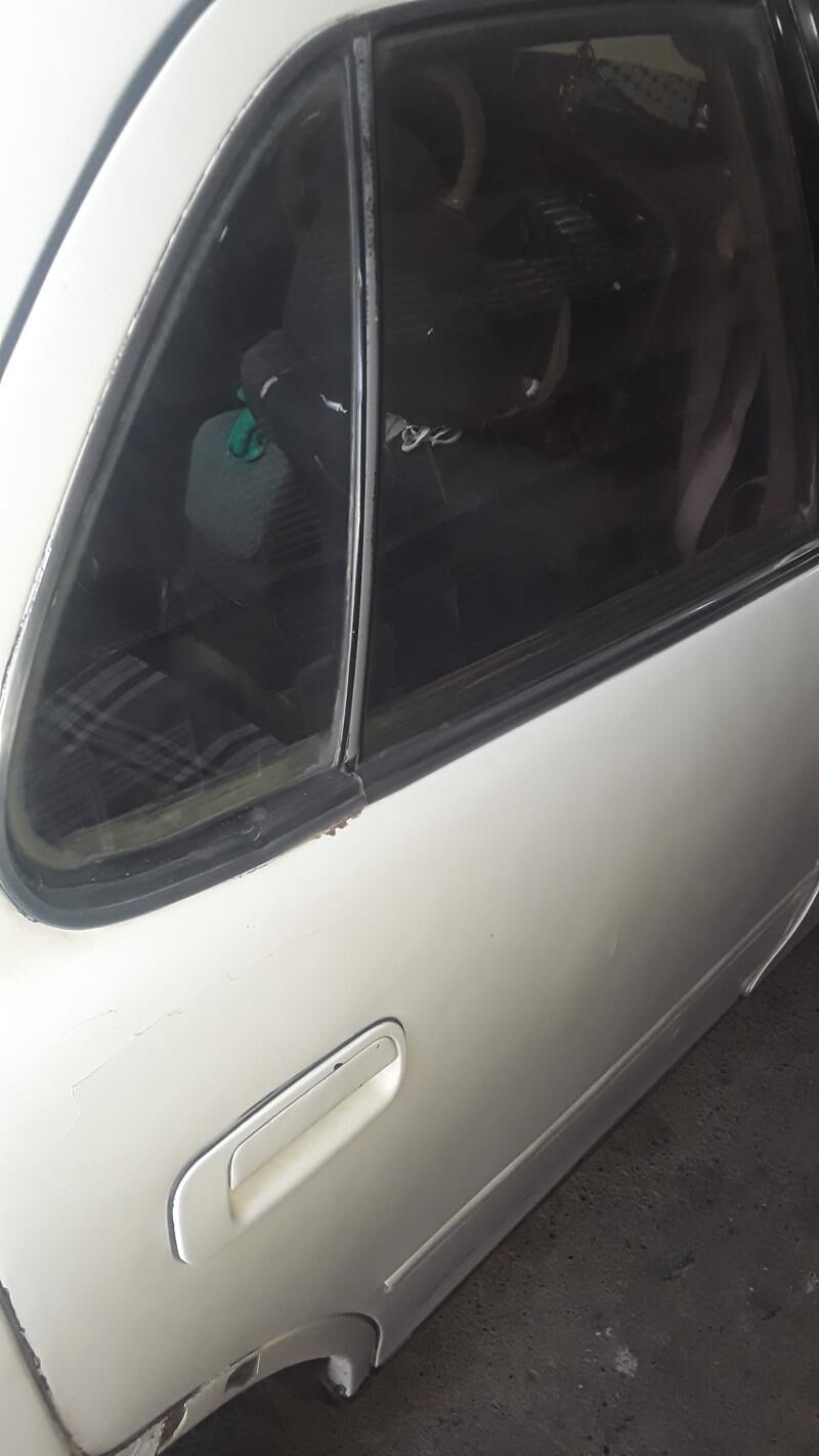 Samsyk kemry gapy 200 TMT - Sakarçäge - img 2