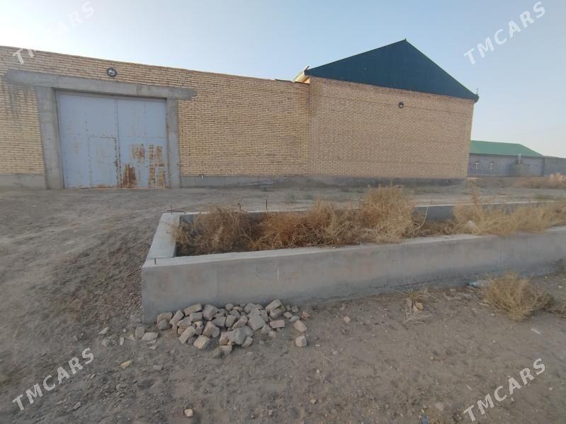 satlyk mellek jaý - Фарап - img 2