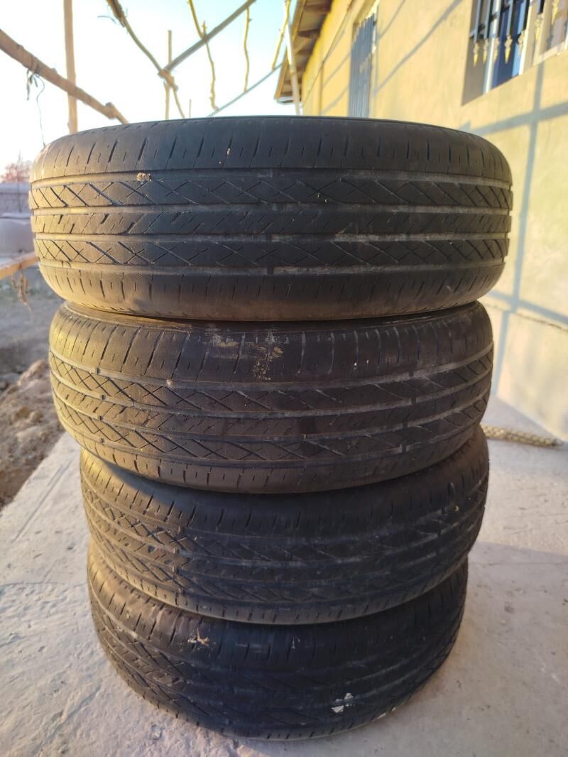 Tiger 1 000 TMT - Daşoguz - img 2