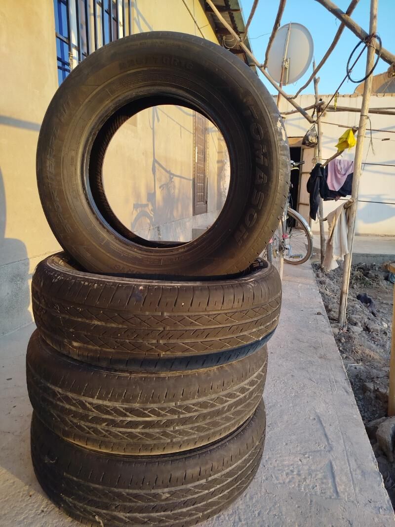 Tiger 1 000 TMT - Daşoguz - img 1