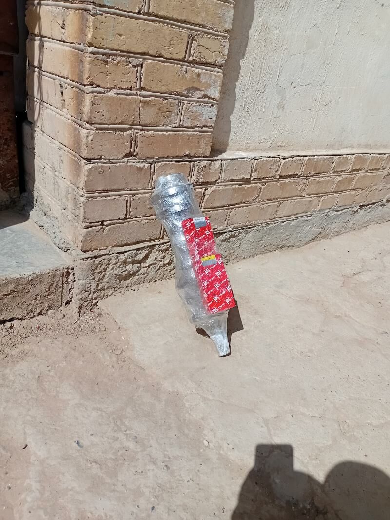 wal 1 100 TMT - Sakarçäge - img 2