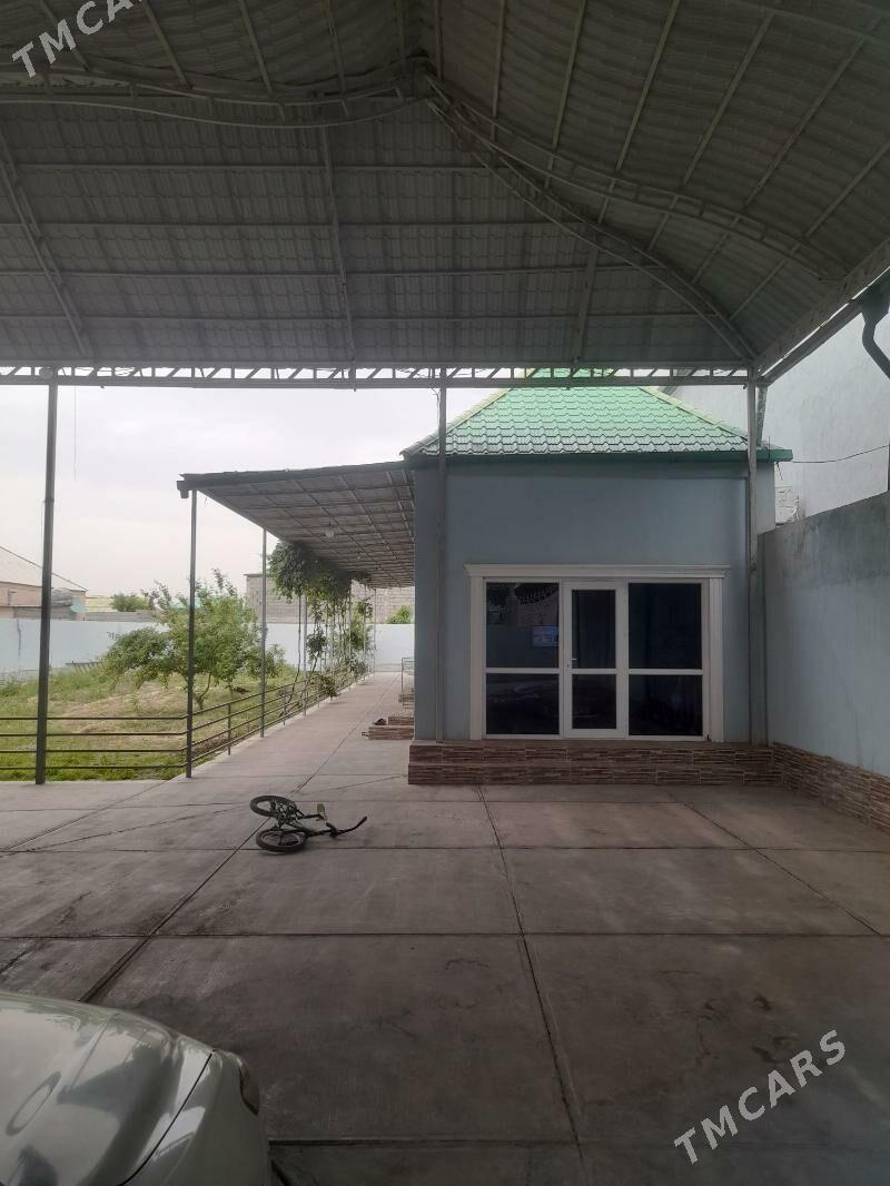 Bagir mirewe - Багир - img 2