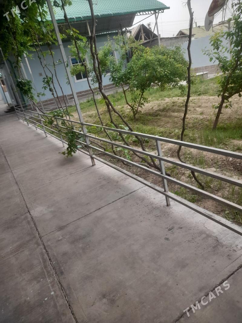 Bagir mirewe - Багир - img 6