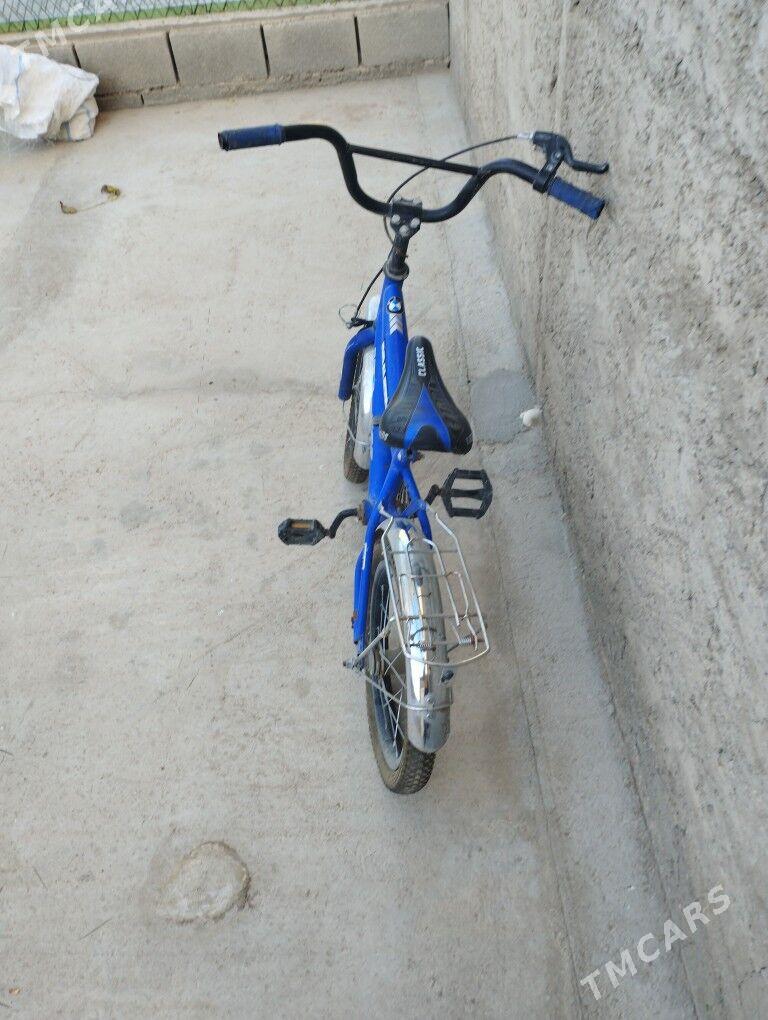 tigir - Balkanabat - img 2