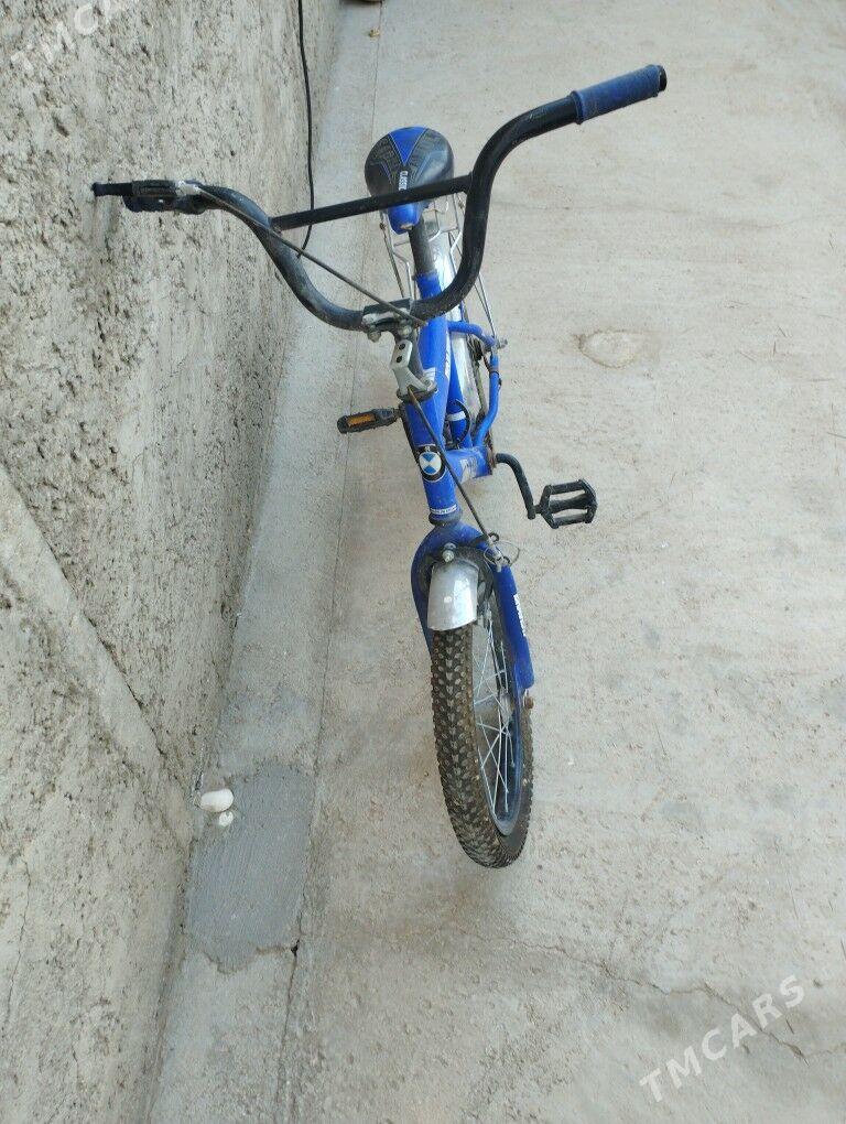 tigir - Balkanabat - img 3