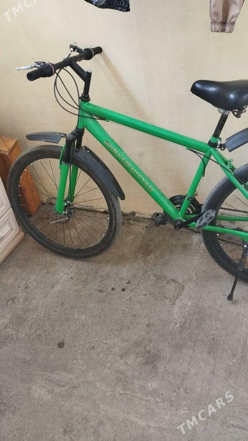 tigir gysagly - Hitrowka - img 8