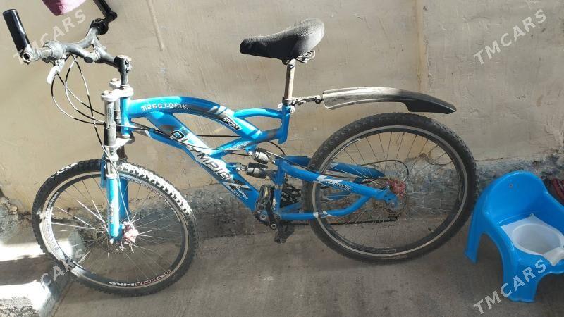 tigir gysagly - Hitrowka - img 5