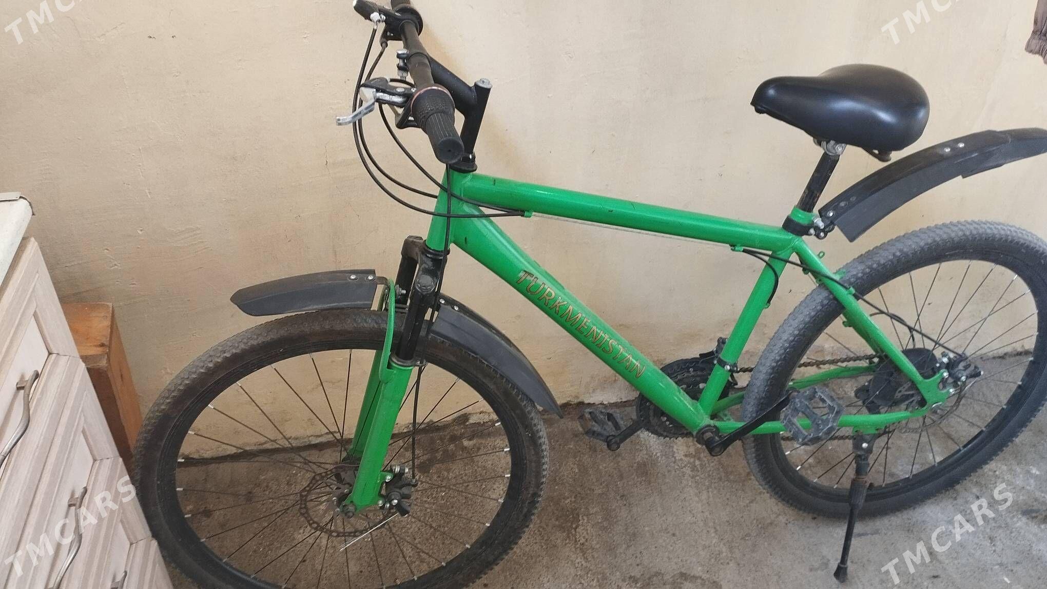 tigir gysagly - Hitrowka - img 6