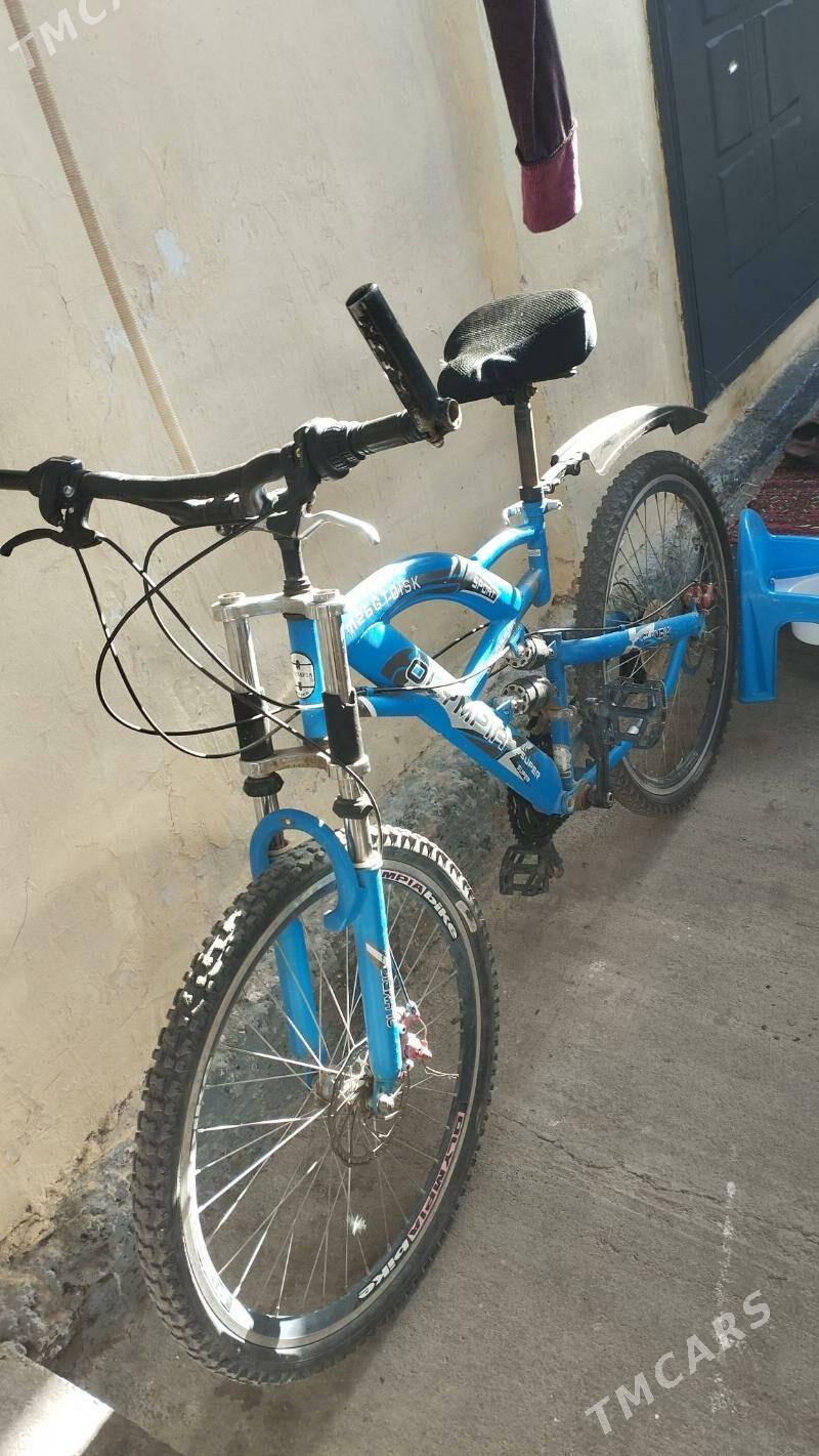 tigir gysagly - Hitrowka - img 2