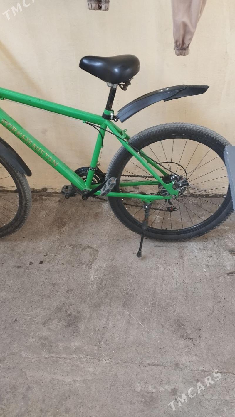 tigir gysagly - Hitrowka - img 7