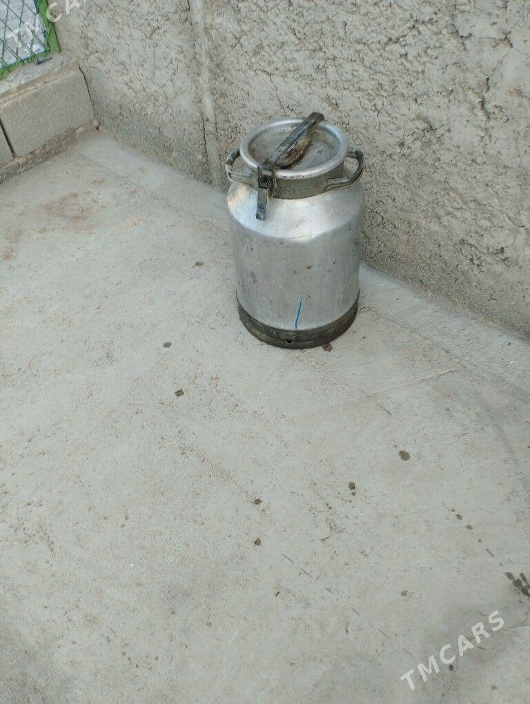 Filak - Балканабат - img 2