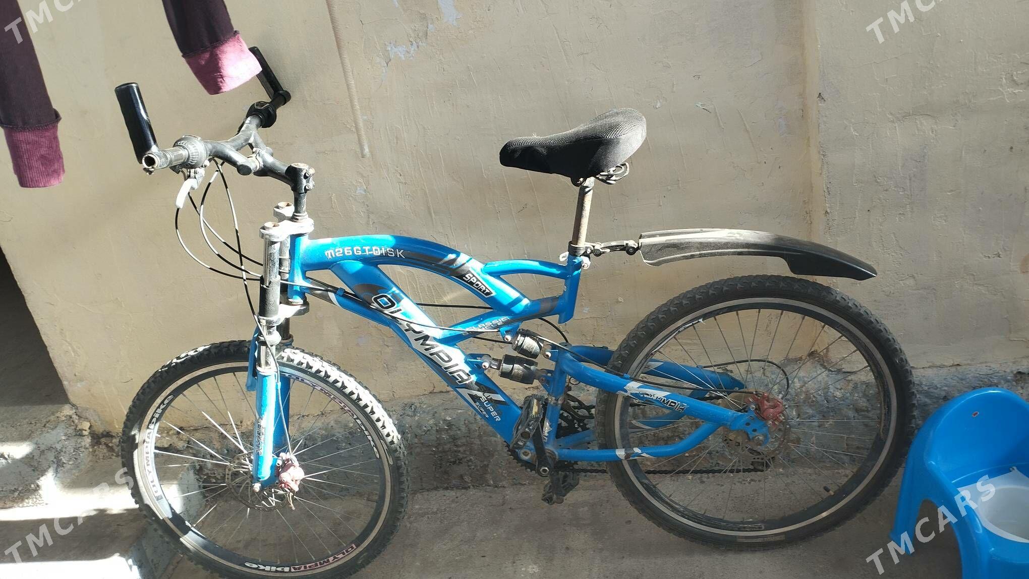 tigir gysagly - Hitrowka - img 4