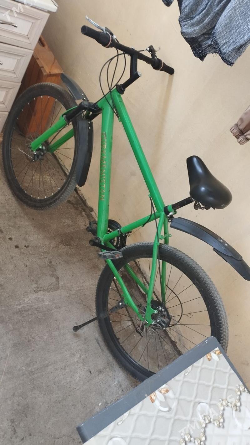 tigir gysagly - Hitrowka - img 9