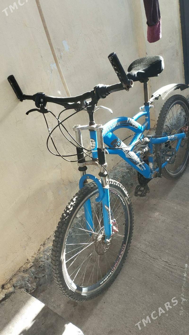 tigir gysagly - Hitrowka - img 3