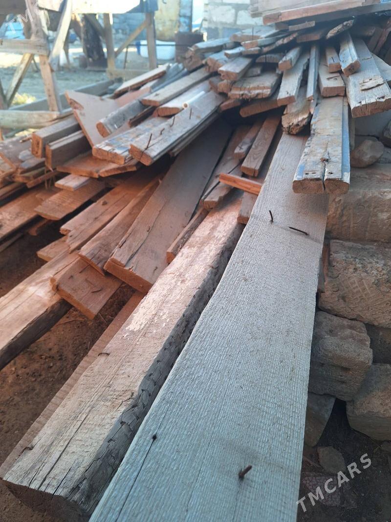 agac - Туркменбаши - img 3