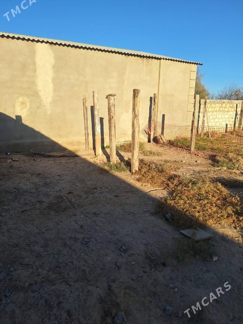 agac - Туркменбаши - img 5