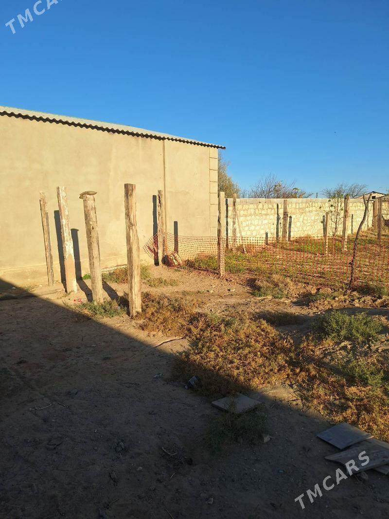 agac - Туркменбаши - img 4