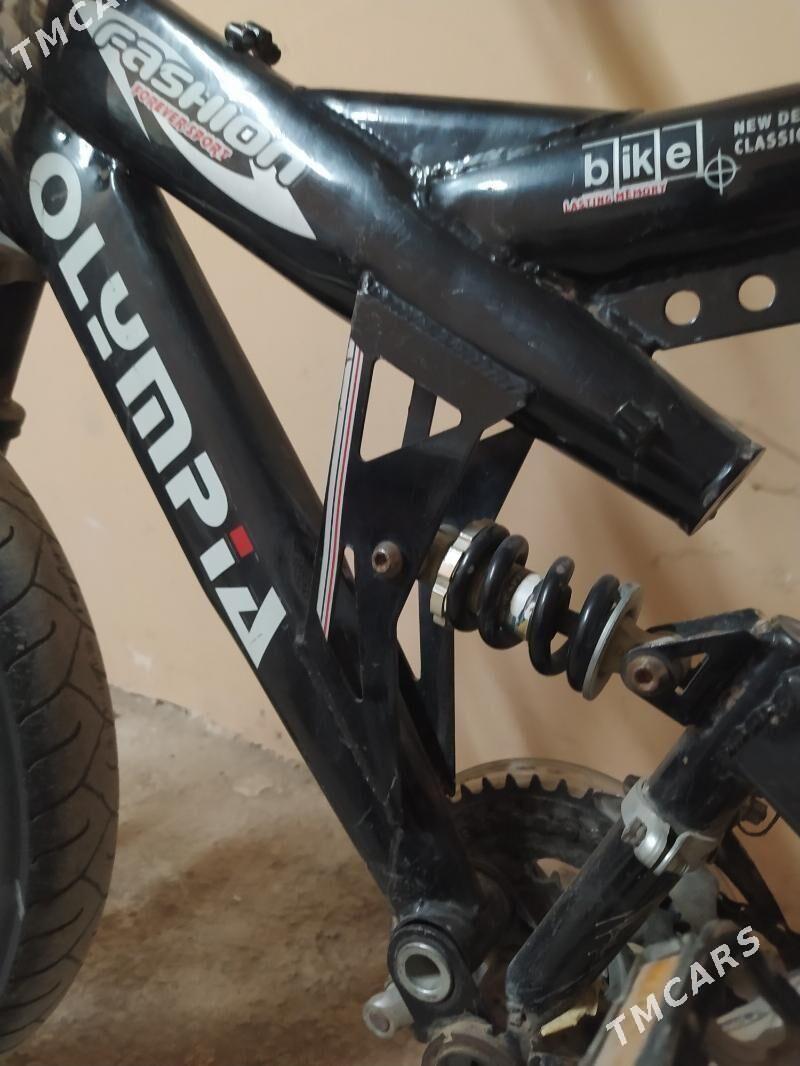 Tigir - Анев - img 2