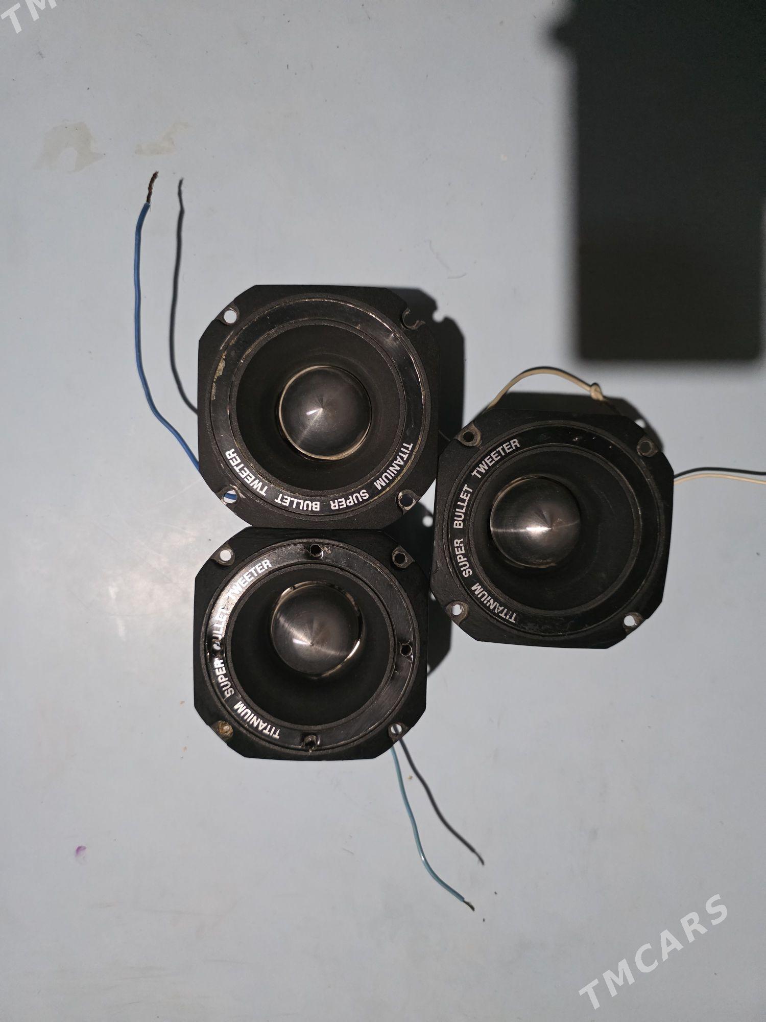 Toý-Aparat-Wysoky - Mary - img 5