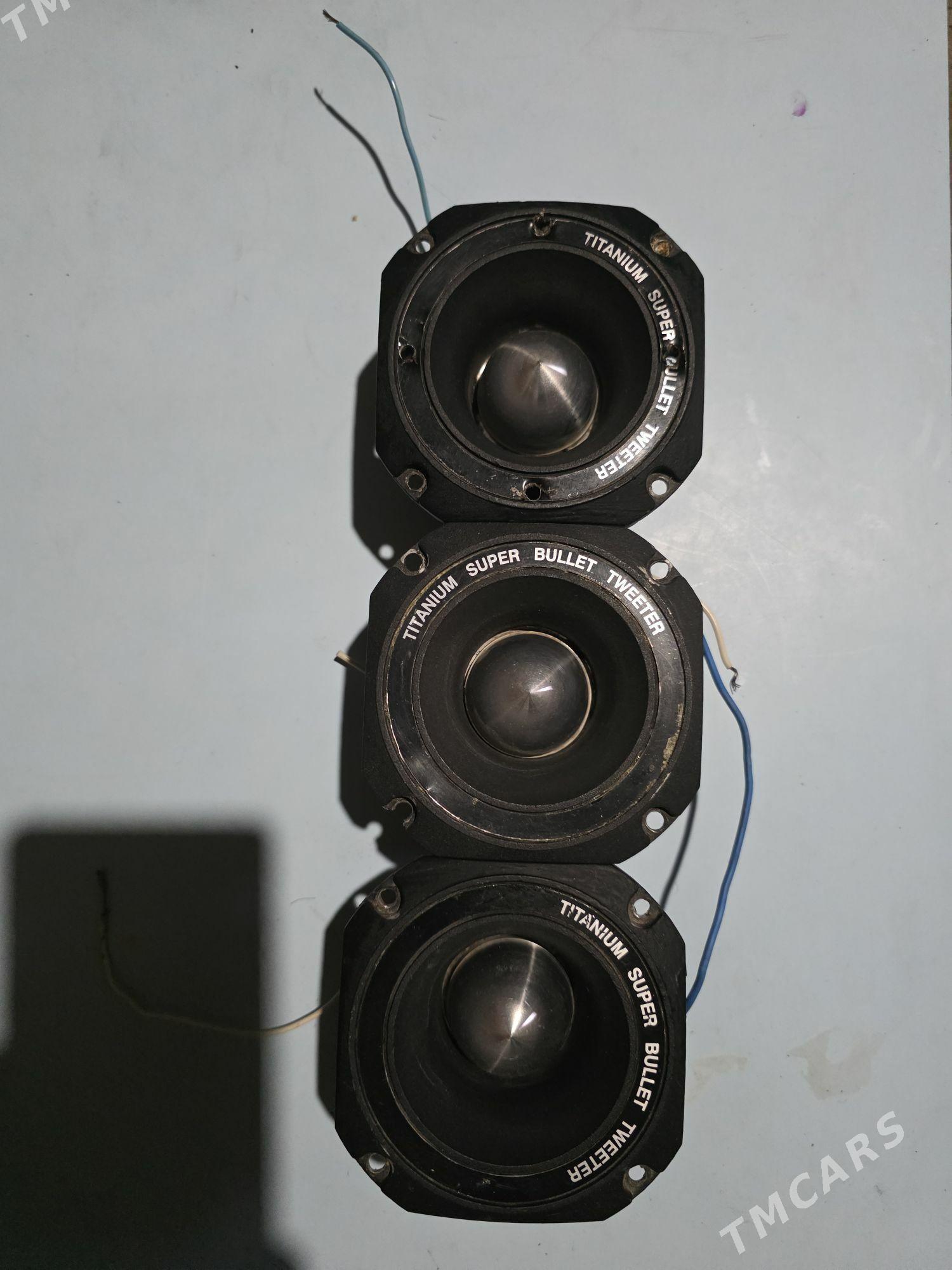 Toý-Aparat-Wysoky - Mary - img 3