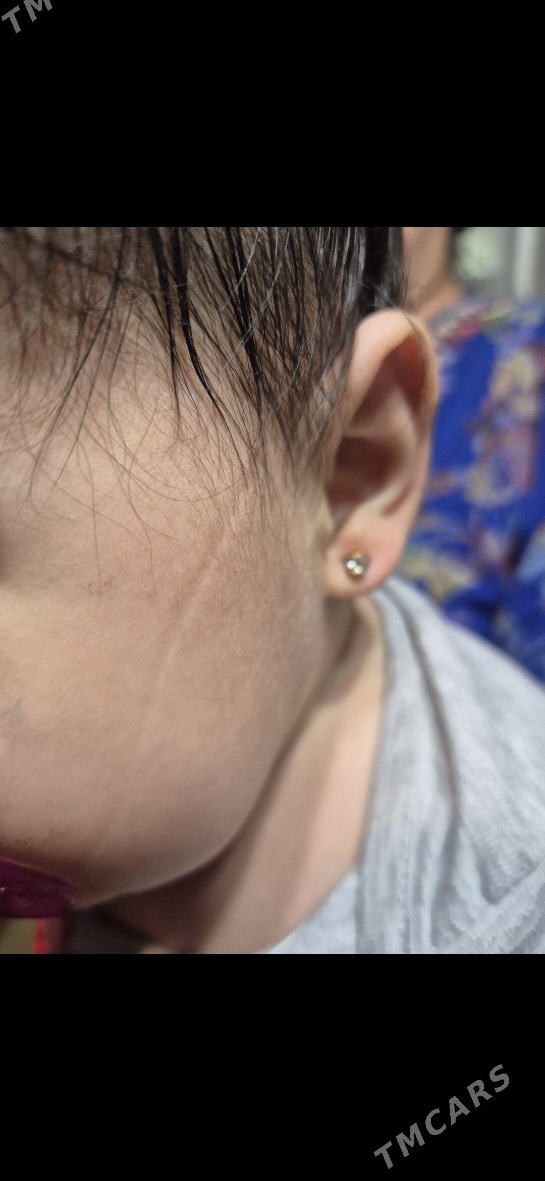 gulak desyan - Ашхабад - img 1