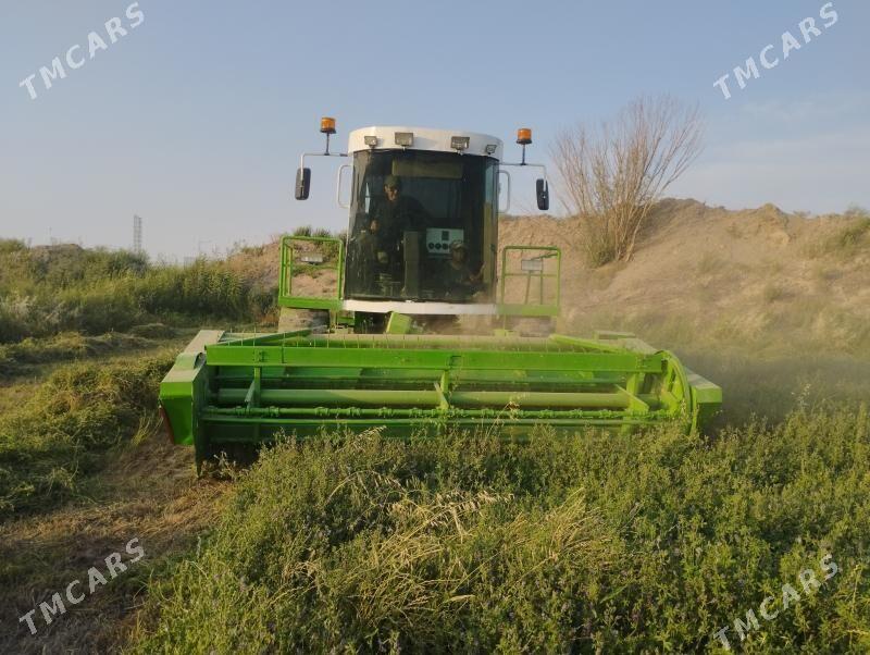 MTZ 80 2022 - 220 000 TMT - Garabekewül - img 2