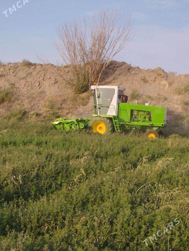 MTZ 80 2022 - 220 000 TMT - Garabekewül - img 4